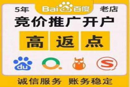 SEM推广实战：案例解析与策略探讨